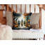 Coussin décoratif intérieur / extérieur en polyester More / Spooky More Spooky Halloween-2135590112
