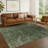 Machine Washable Indoor/Outdoor Chantille ACN2322 Global Rug-1664992689