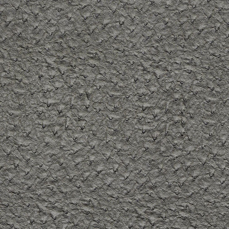 Vinyle autruche, Gris