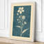 Delicate Blooms Botanical - Wrapped Canvas-1798917927-1798917921