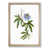 Oak Framed selected