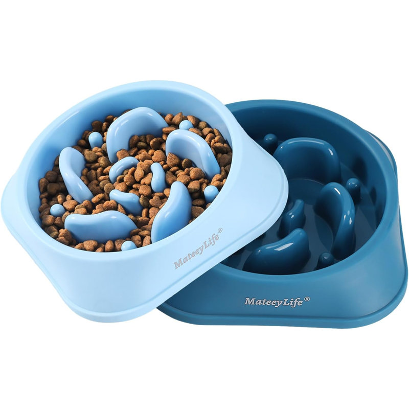 Slow Feeder, Light Blue/Dark Blue