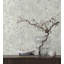 Papier peint Bentina-88439257