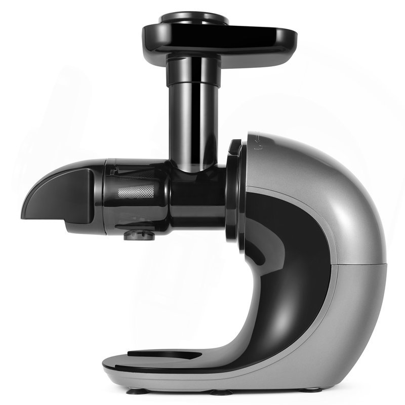 Slow Juicer - fruits et légumes, Noir/gris