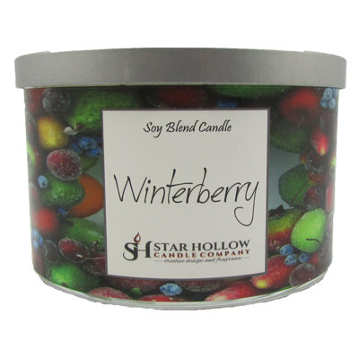 Bougie à pot winterberry