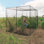 79.2'' W x 109.2'' D Fruit Cage