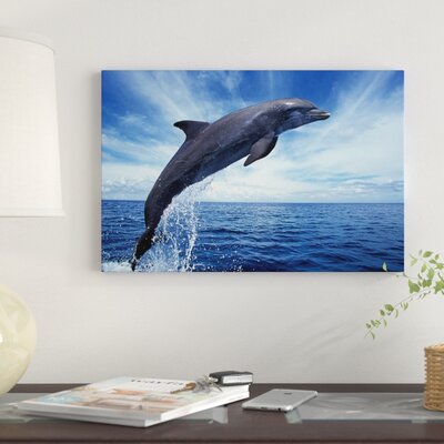 Bottlenose Dolphin' Photographic Print on Canvas -  East Urban Home, C306A04C0DEB45D7B26ACE125A2D48AB