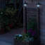 Pellham Planter Box-1394872295