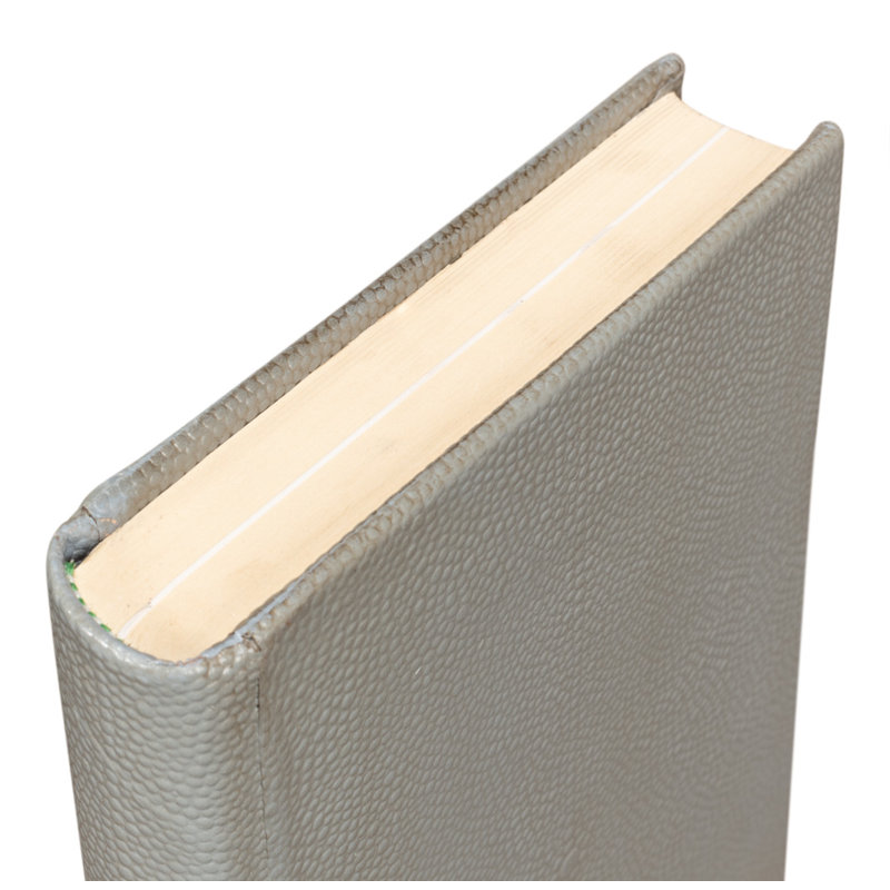 Shagreen Hand Painted Sports Decorative Book, Gray
