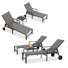 Jahnya Outdoor Metal Chaise Lounge with Table
