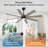 Ladanna 8-Blade Integrated LED Ceiling Fan-1586953756-1586953750