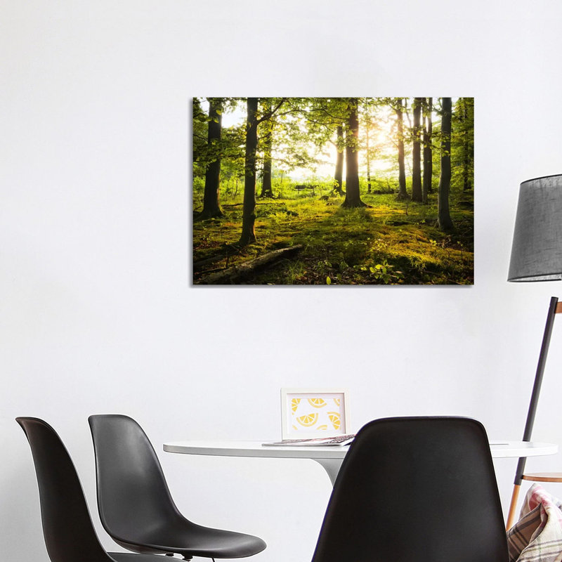 Forest by Stefan Hefele - Wrapped Canvas Print, 101.6 cm H x 66.04 cm W x 1.91 cm D