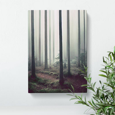 A Quiet Forest - Wall Art