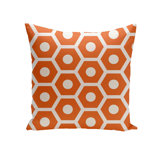 Indoor/Outdoor Reversible Throw Pillow