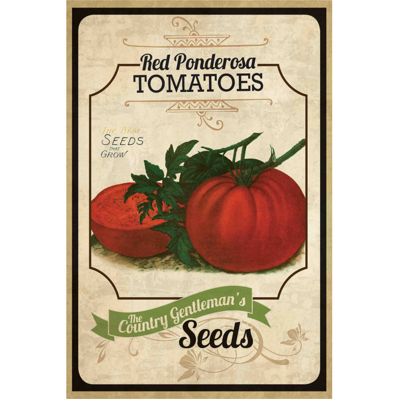 « seed packet tomate », reproduction d’art sur toile tendue, H 60 po x l 40 po