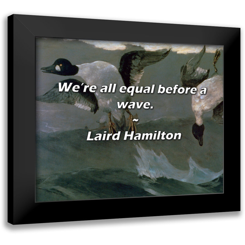 Citation de Laird Hamilton: Nous sommes tous égaux devant une vague.