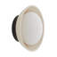 Glaze 1 - Light Flush Mounted Sconce