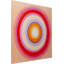 Trendy Circle Pink Photographic Art Print on Canvas
