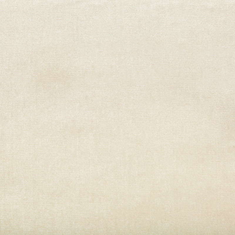 Duchess Velvet Silk Fabric, Ivory