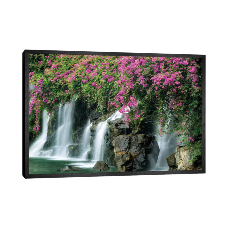 Floral Falls II by Dennis Frates - Print on Canvas, Black Framed, 45.72cm H x 66.04cm W x 3.81cm D