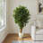 72'' Faux Ficus Tree in Ceramic Planter