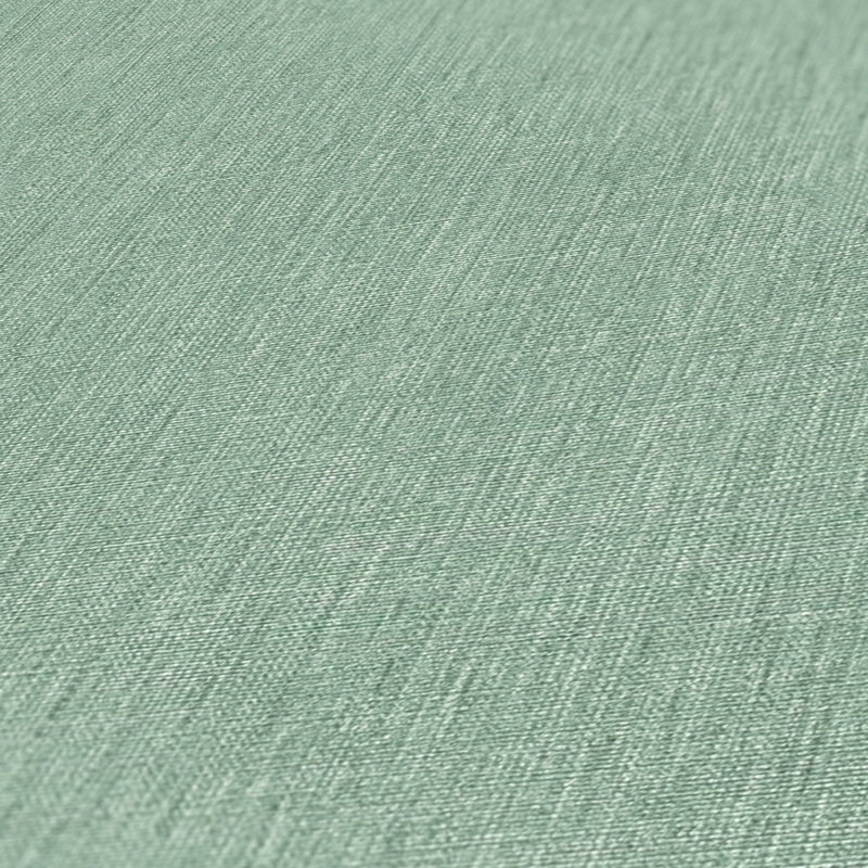 Rahnuma 10.05m x 53cm Matte Double Roll, Green