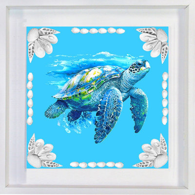 Tortue bleue finie dans une boîte ombre blanche