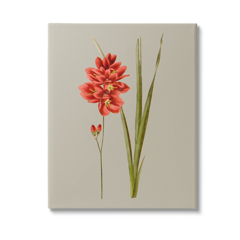 Art mural sur toile rouge traditionnel par Vision Studio, H 20 po x l 16 po