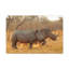 No Frame Print on Canvas-975825542