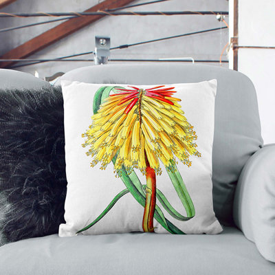 Square Cushion