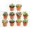 10 Piece Costa Farms Live Mini Succulent Low Maintenance Plant in Plastic Nursery Pot