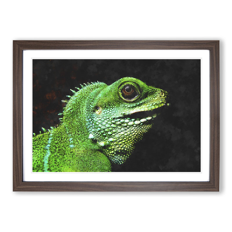 Iguana Lizard - Picture Frame Graphic Art, Walnut Framed, 48cm H x 65cm W x 2cm D