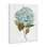 «Simple Hydrangea Bud», art mural sur toile par Enya Todd