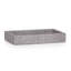 Rafya Tray