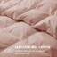 Insertion de couette toutes saisons en duvet d'oie blanche et en duvet avec housse 100% coton 300TC, simple-2050847818-2104695303