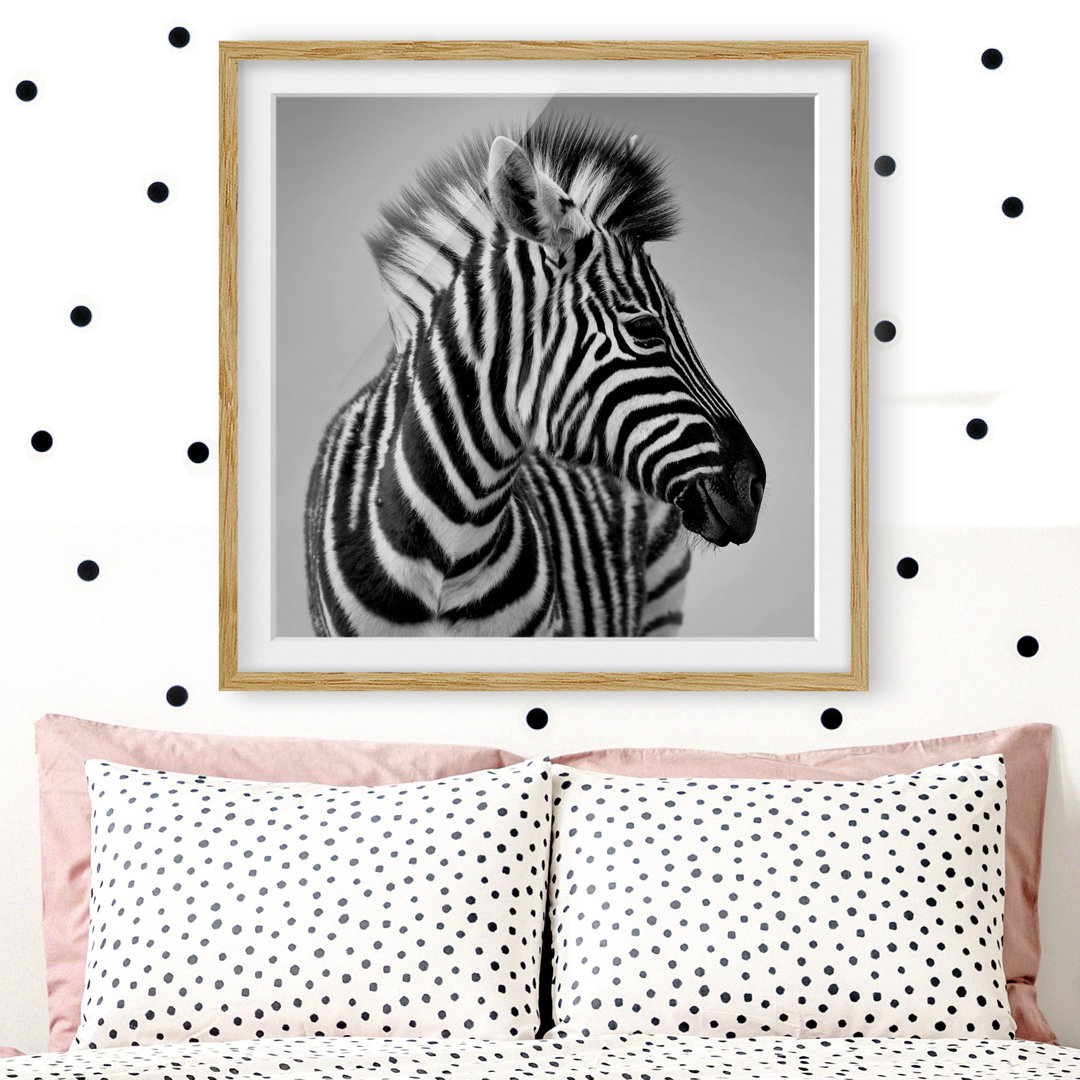 Gerahmter Fotodruck Baby Zebra Portrait II