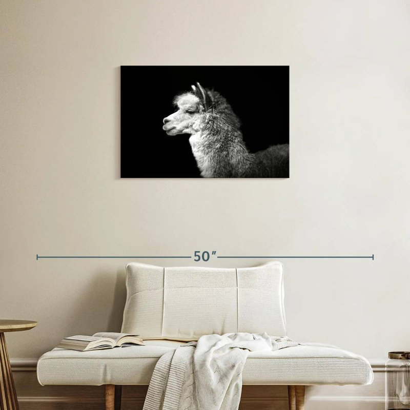 Brampt Noir Llama, 20" H x 30" W
