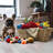 Dog Toy Basket, Hyacinth Cat & Dog Bone Shaped Basket, Wicker Pet Toy Bin Organizer, Dog Toy Storage, Dog Toy Bin, Dog Basket