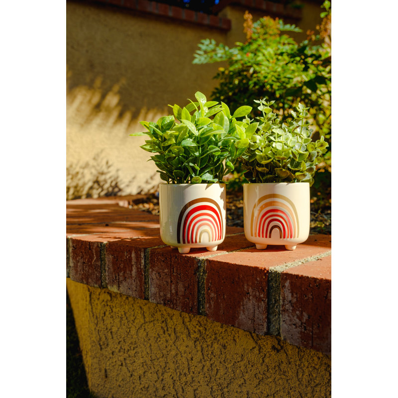 5.75'' Faux Eucalyptus Plant in Ceramic Pot
