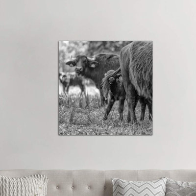 Hide And Seek by Gert Van Den Bosch - Wrapped Canvas Print