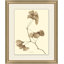Ginkgo Print