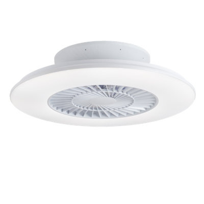 Elzebir 60cm Ceiling Fan with LED Lights