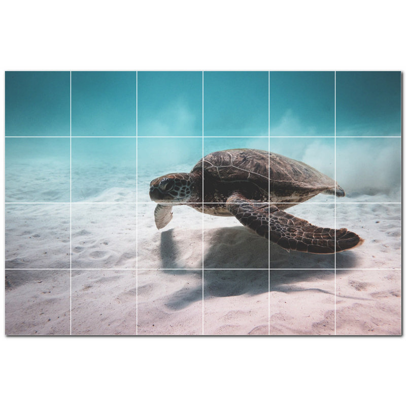 Tortue photo 6 x 6