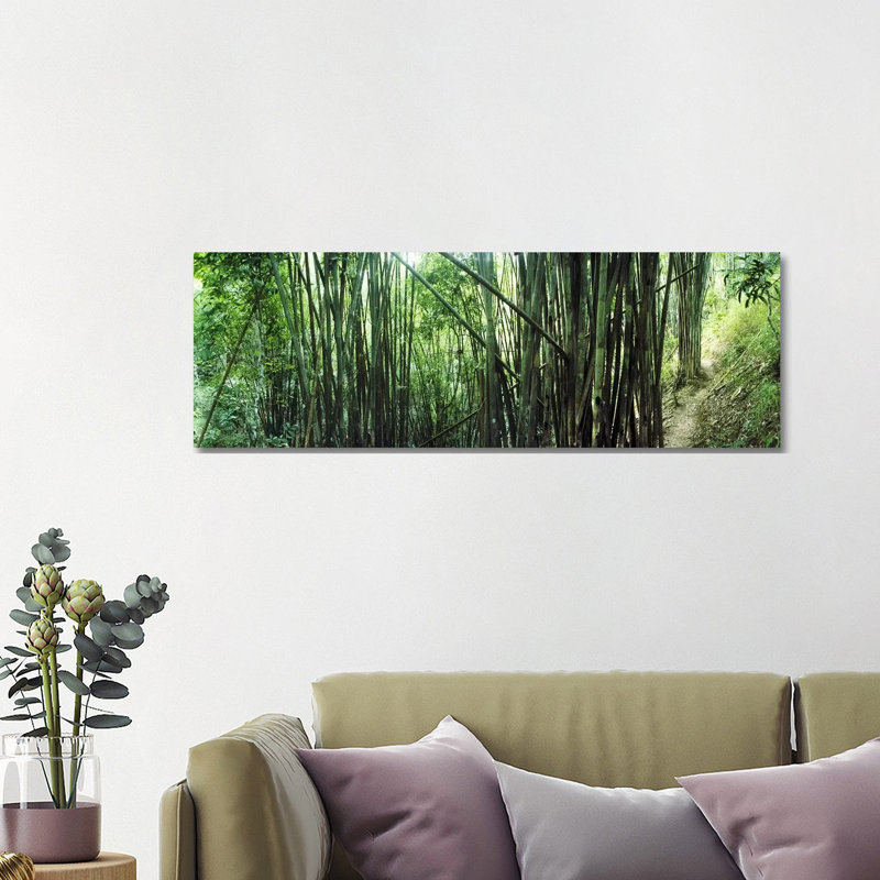 Bamboo Forest, Chiang Mai, Thailand #3 - Wrapped Canvas Panoramic Print, 121.92 cm H x 40.64 cm W x 1.91 cm D