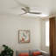 Ventilateur de plafond 54 po Volos-82941941
