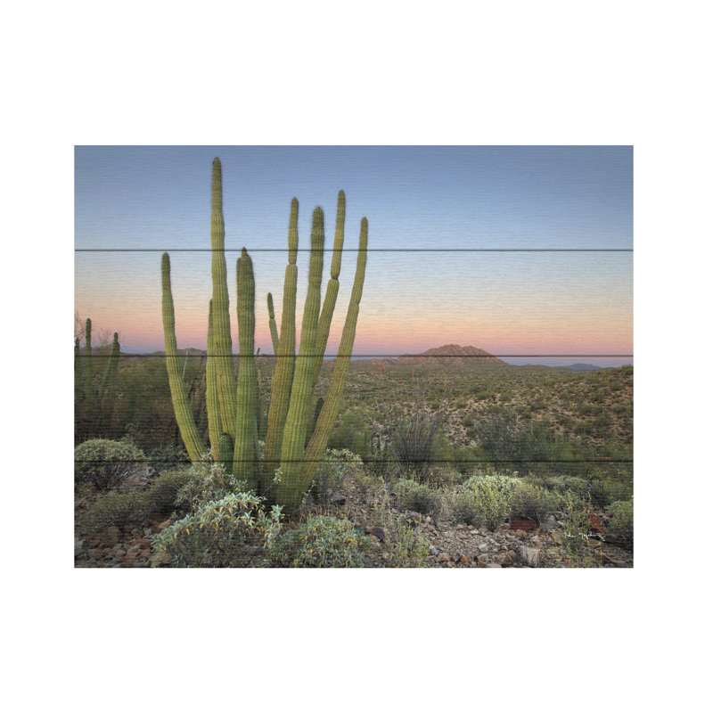Cactus orgue au crépuscule sur bois, H 12 po x l 16 po