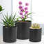 Planter-2043985731