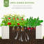 Lit de jardin surélevé galvanisé, jardinière pour légumes, fleurs et herbes-360986768
