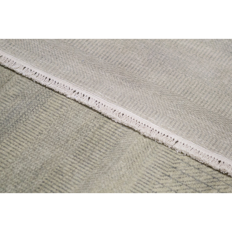 Area Rug in Light Green/Beige