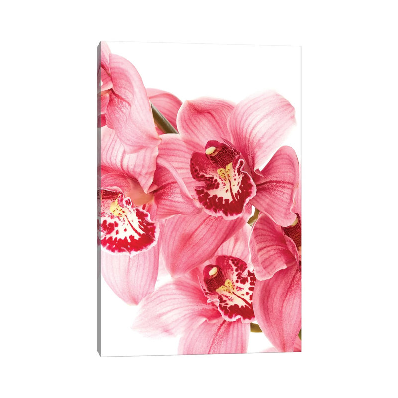 Floral by Honeymoon Hotel - Wrapped Canvas Print, 20.32 cm H x 30.48 cm W